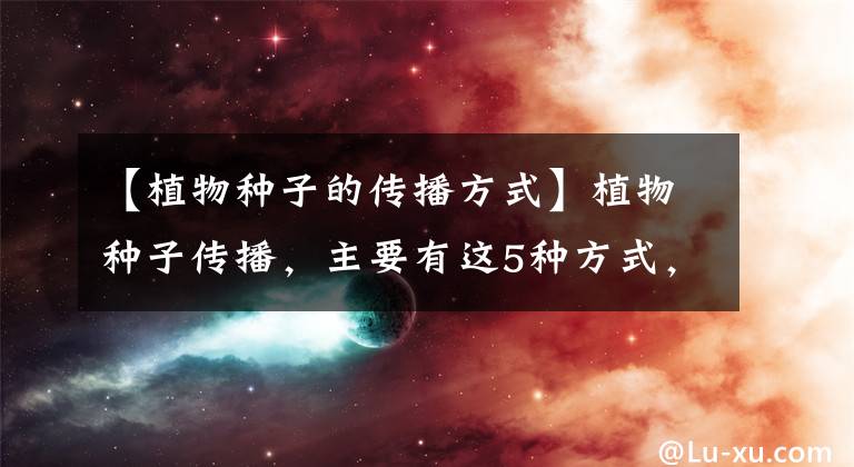 【植物种子的传播方式】植物种子传播,主要有这5种方式,快来了解一下