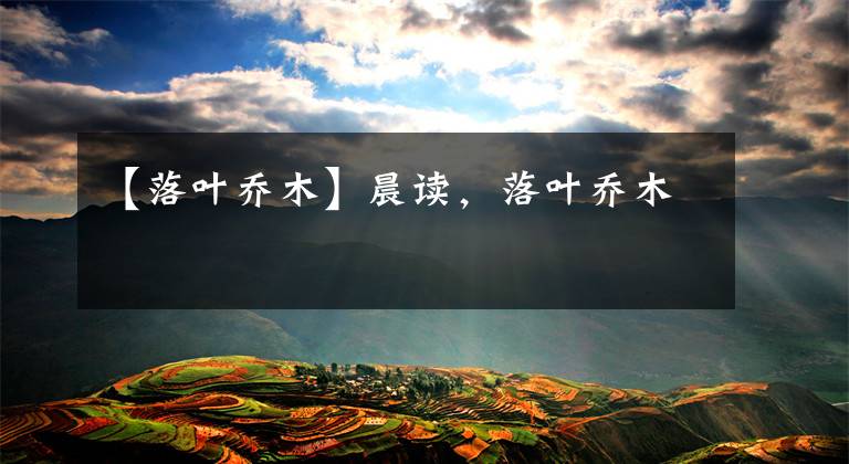 【落叶乔木】晨读,落叶乔木