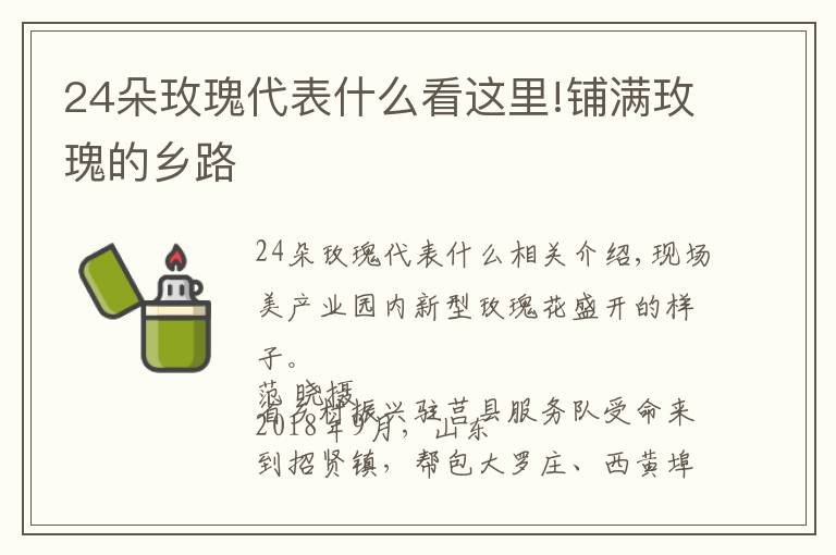 24朵玫瑰代表什么看这里!铺满玫瑰的乡路