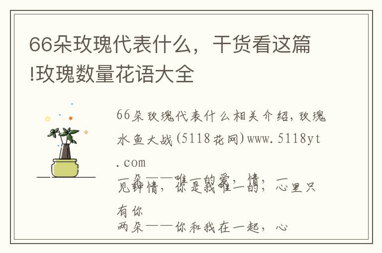 66朵玫瑰代表什么,干货看这篇!玫瑰数量花语大全