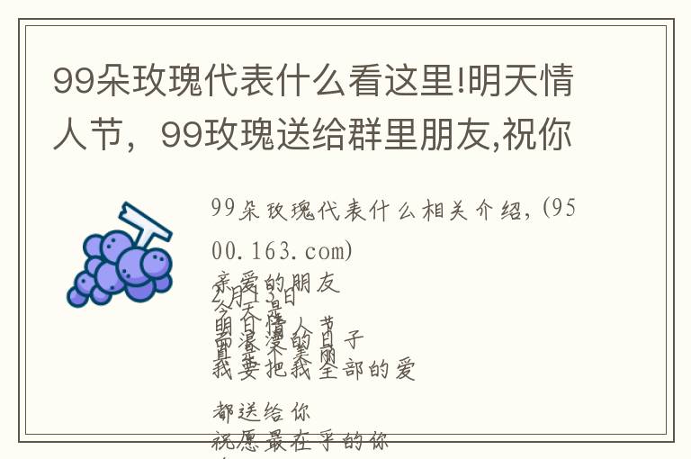 99朵玫瑰代表什么看这里!明天情人节,99玫瑰送给群里朋友,祝你们情人节快乐,永远健康幸福