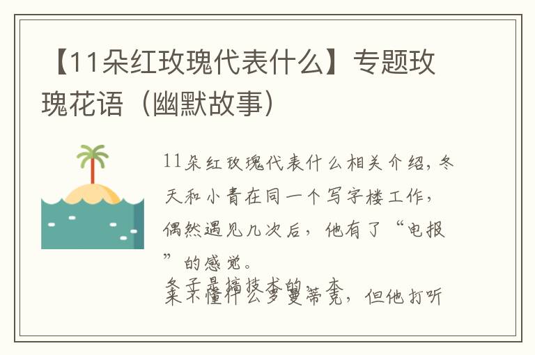 【11朵红玫瑰代表什么】专题玫瑰花语(幽默故事)