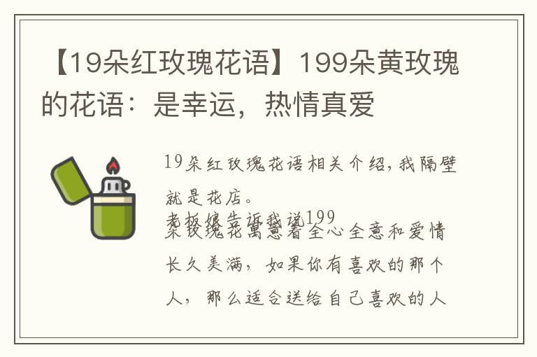 【19朵红玫瑰花语】199朵黄玫瑰的花语:是幸运,热情真爱