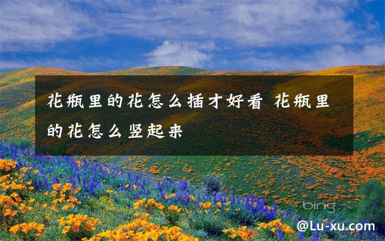 花瓶里的花怎么插才好看 花瓶里的花怎么竖起来