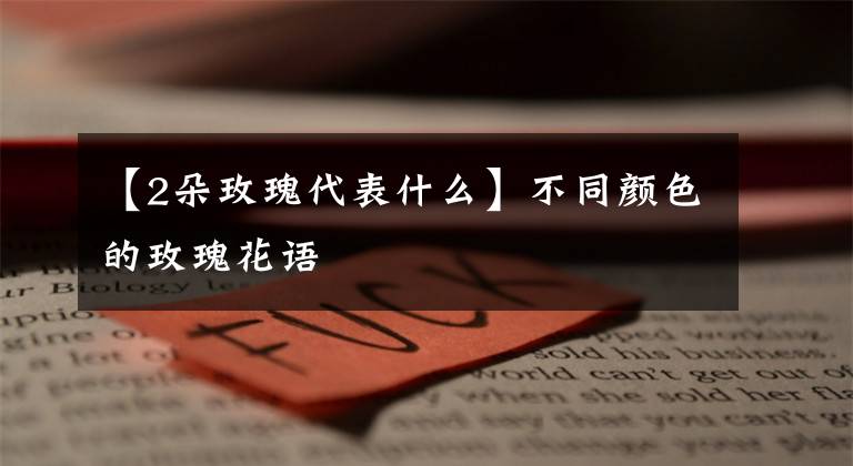 【2朵玫瑰代表什么】不同颜色的玫瑰花语