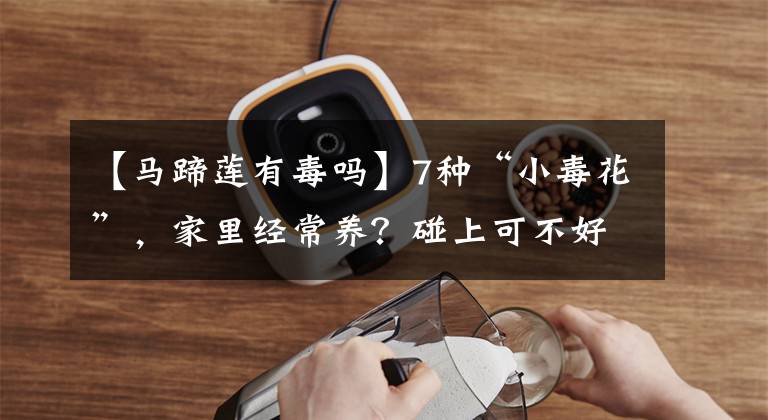 【马蹄莲有毒吗】7种“小毒花”,家里经常养?碰上可不好,一定要认清“真面目”