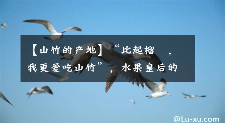 【山竹的产地】“比起榴梿，我更爱吃山竹”，水果皇后的营养价值原来这么高