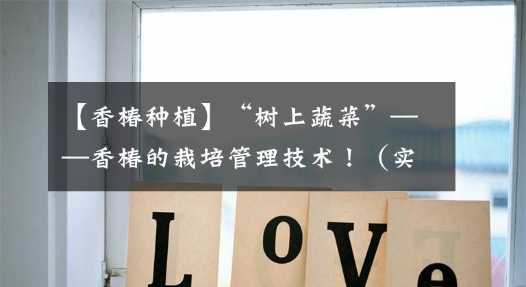 【香椿种植】“树上蔬菜”——香椿的栽培管理技术!(实用篇)