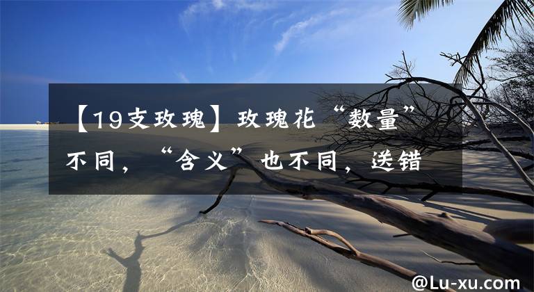 【19支玫瑰】玫瑰花“数量”不同,“含义”也不同,送错了容易闹笑话