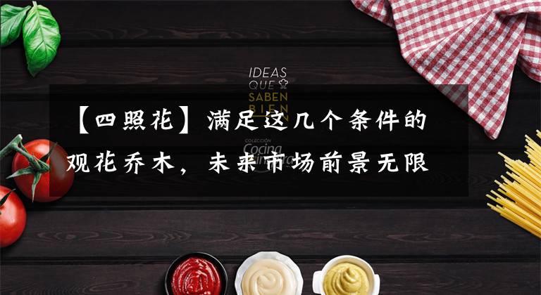 【四照花】满足这几个条件的观花乔木,未来市场前景无限!可放心大胆发展