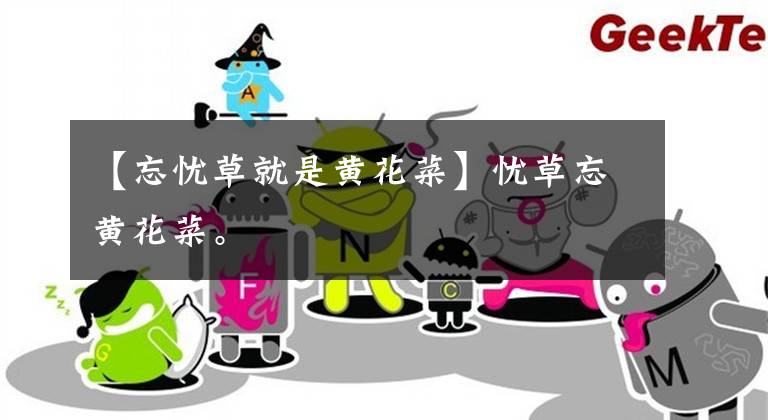 【忘忧草就是黄花菜】忧草忘黄花菜。