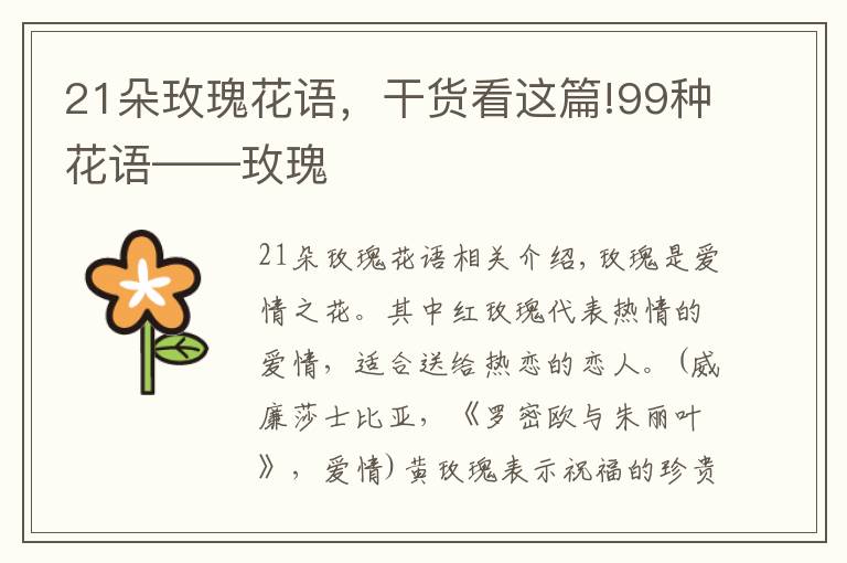 21朵玫瑰花语,干货看这篇!99种花语——玫瑰