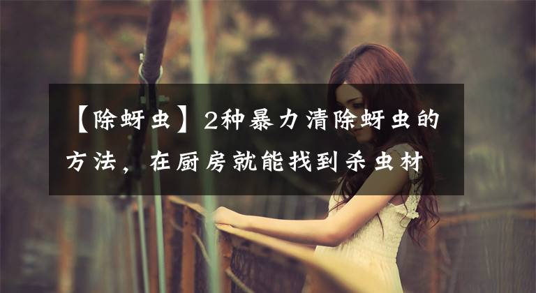 【除蚜虫】2种暴力清除蚜虫的方法,在厨房就能找到杀虫材料