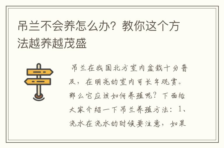 吊兰不会养怎么办?教你这个方法越养越茂盛