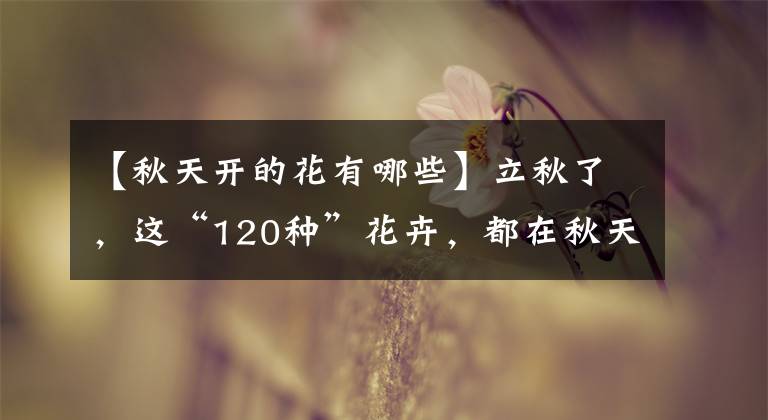 【秋天开的花有哪些】立秋了,这“120种”花卉,都在秋天开花,够养一屋子了