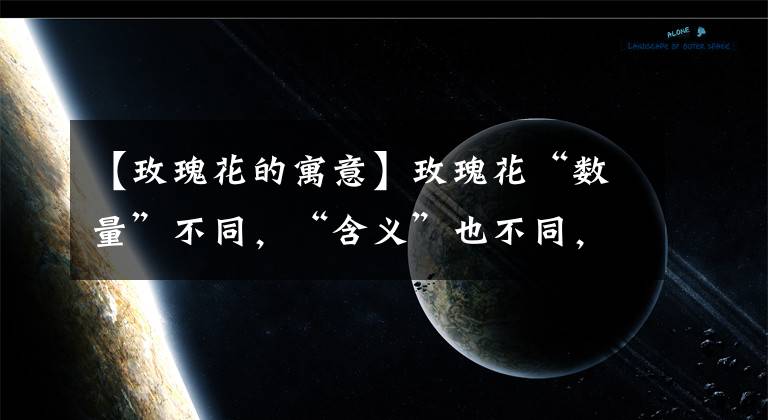 【玫瑰花的寓意】玫瑰花“数量”不同,“含义”也不同,送错了容易闹笑话