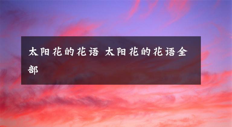 太阳花的花语 太阳花的花语全部