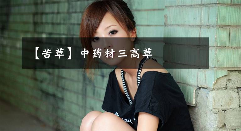 【苦草】中药材三高草