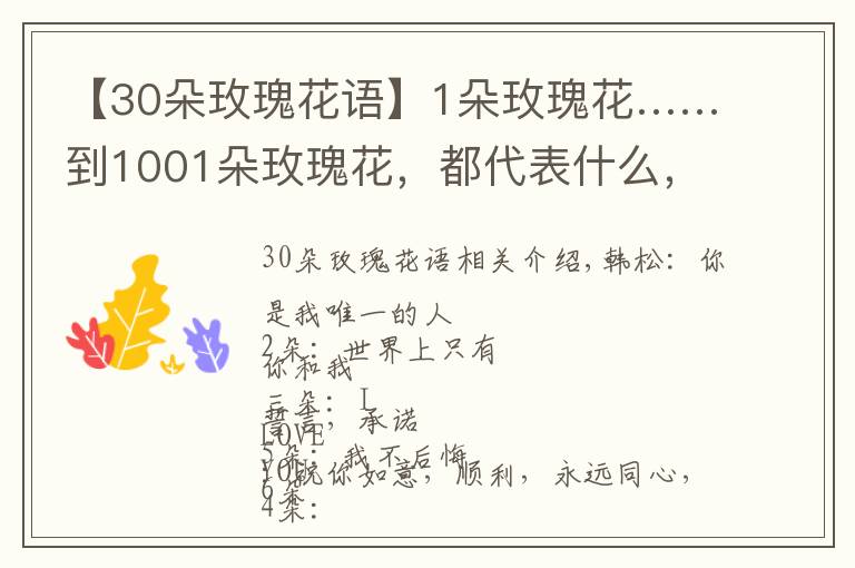 【30朵玫瑰花语】1朵玫瑰花……到1001朵玫瑰花,都代表什么,你知道吗?