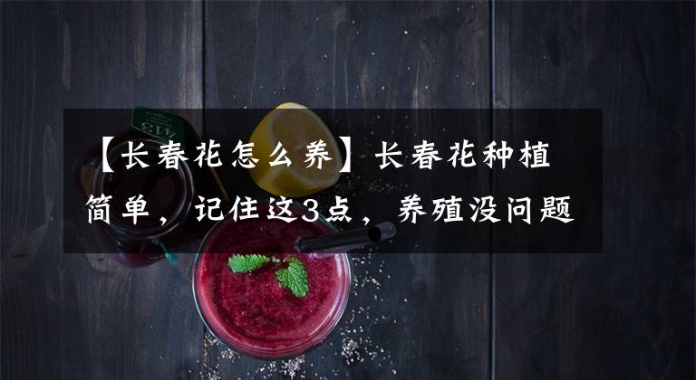 【长春花怎么养】长春花种植简单，记住这3点，养殖没问题