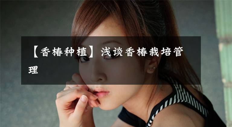 【香椿种植】浅谈香椿栽培管理