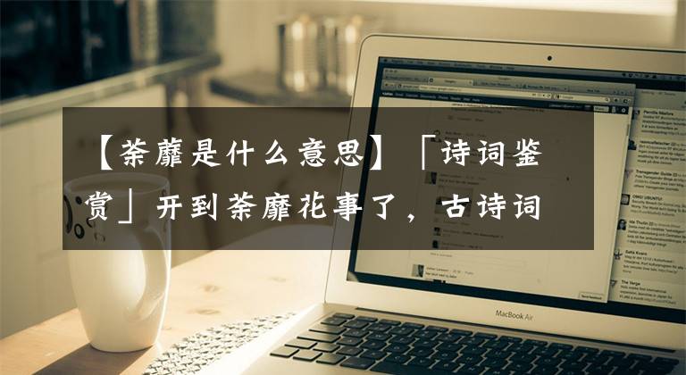 【荼蘼是什么意思】「诗词鉴赏」开到荼靡花事了,古诗词里的荼蘼花,花白如雪