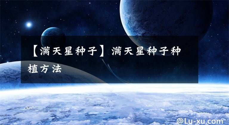 【满天星种子】满天星种子种植方法