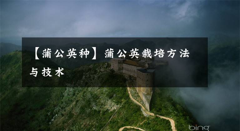 【蒲公英种】蒲公英栽培方法与技术