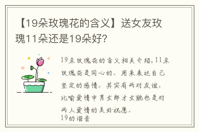 【19朵玫瑰花的含义】送女友玫瑰11朵还是19朵好?