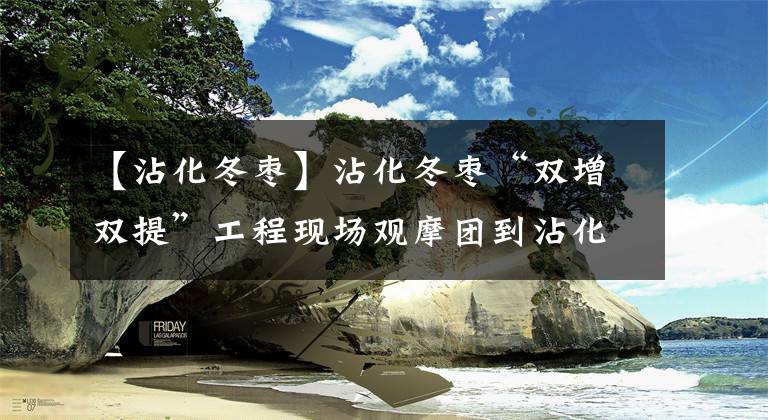 【沾化冬枣】沾化冬枣“双增双提”工程现场观摩团到沾化区古城镇观摩
