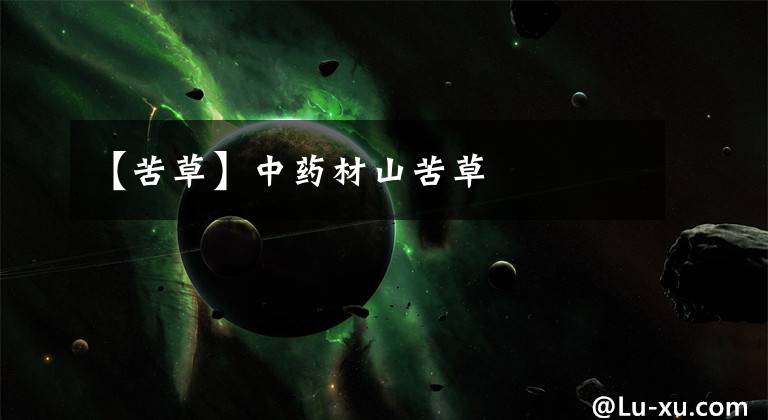 【苦草】中药材山苦草