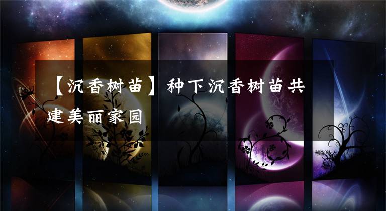 【沉香树苗】种下沉香树苗共建美丽家园
