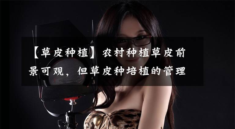 【草皮种植】农村种植草皮前景可观,但草皮种培植的管理技术你知道多少?