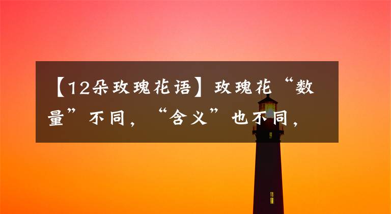 【12朵玫瑰花语】玫瑰花“数量”不同，“含义”也不同，送错了容易闹笑话