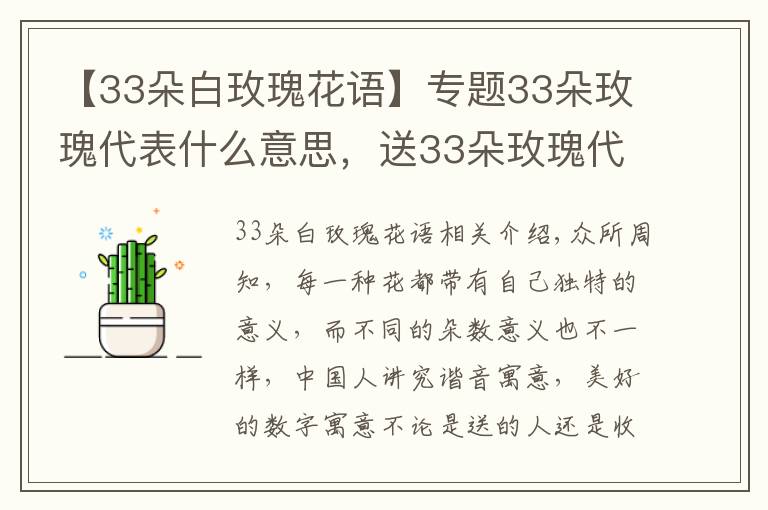 【33朵白玫瑰花语】专题33朵玫瑰代表什么意思,送33朵玫瑰代表什么(生生世世的爱)