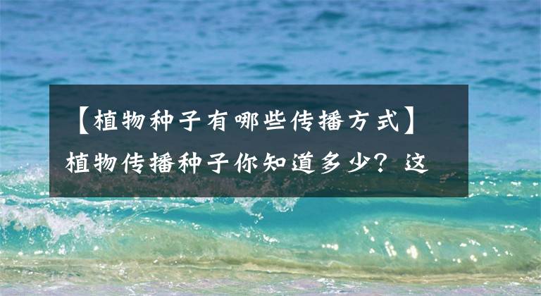 【植物种子有哪些传播方式】植物传播种子你知道多少?这三种方式很神奇,赶紧收藏