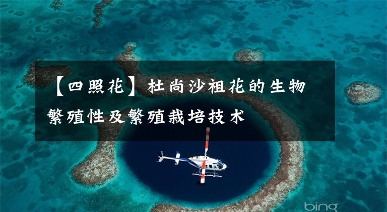 【四照花】杜尚沙祖花的生物繁殖性及繁殖栽培技术