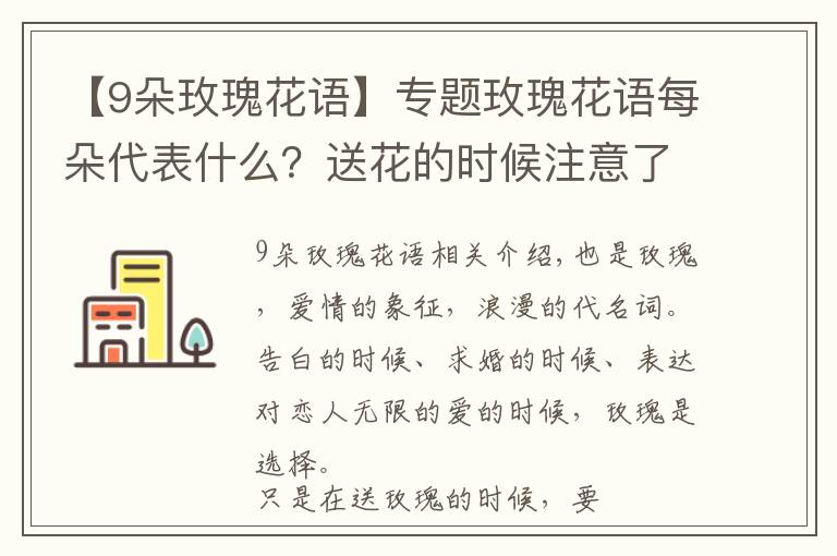 【9朵玫瑰花语】专题玫瑰花语每朵代表什么?送花的时候注意了