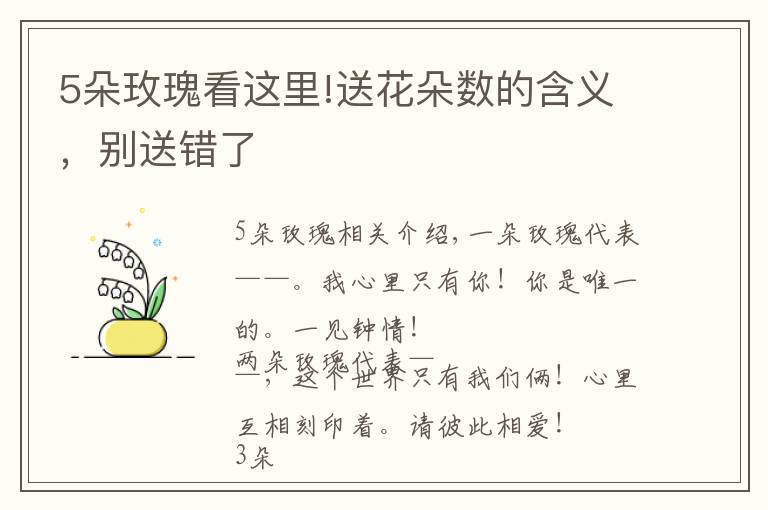 5朵玫瑰看这里!送花朵数的含义,别送错了