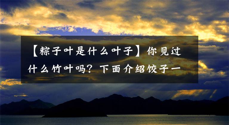 【粽子叶是什么叶子】你见过什么竹叶吗?下面介绍饺子一般可以使用的15种树叶
