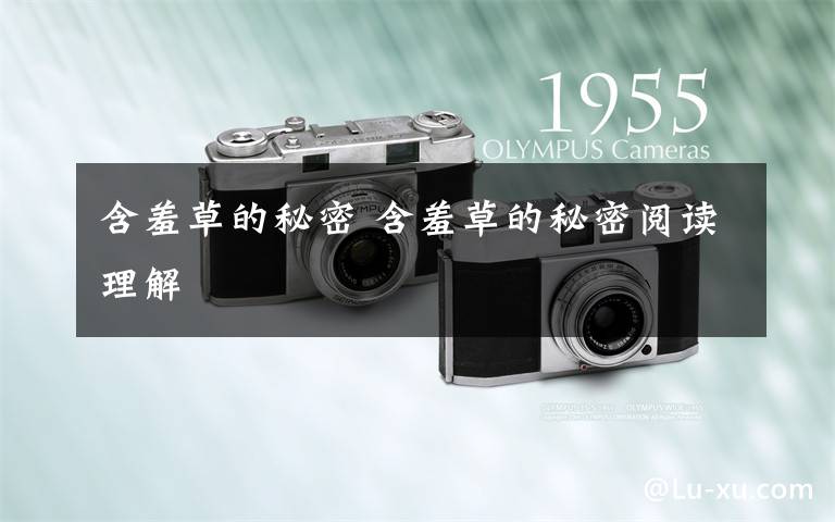 含羞草的秘密 含羞草的秘密阅读理解