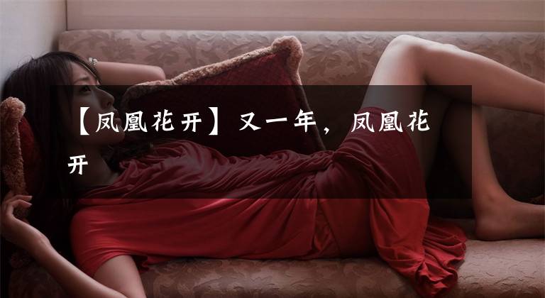 【凤凰花开】又一年,凤凰花开