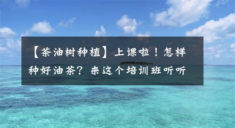 【茶油树种植】上课啦!怎样种好油茶?来这个培训班听听