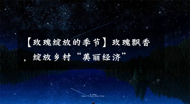 【玫瑰绽放的季节】玫瑰飘香，绽放乡村“美丽经济”