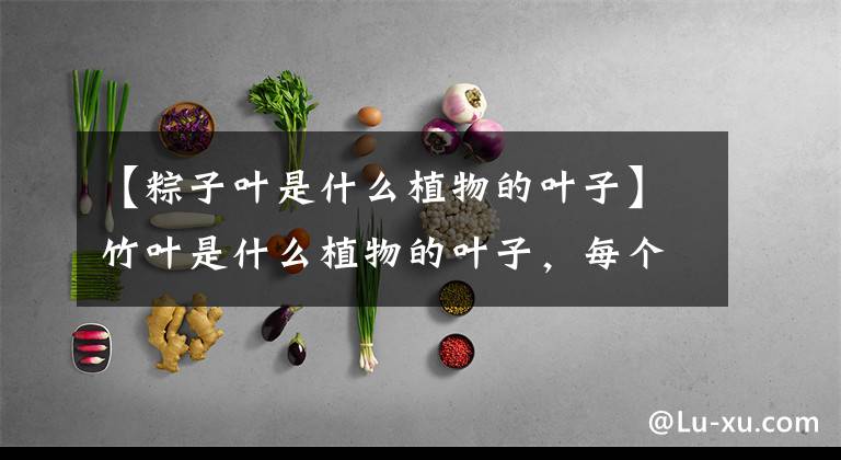 【粽子叶是什么植物的叶子】竹叶是什么植物的叶子,每个地区的植物都不一样。