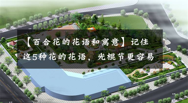 【百合花的花语和寓意】记住这5种花的花语,光棍节更容易脱单,送花也不会迷惘