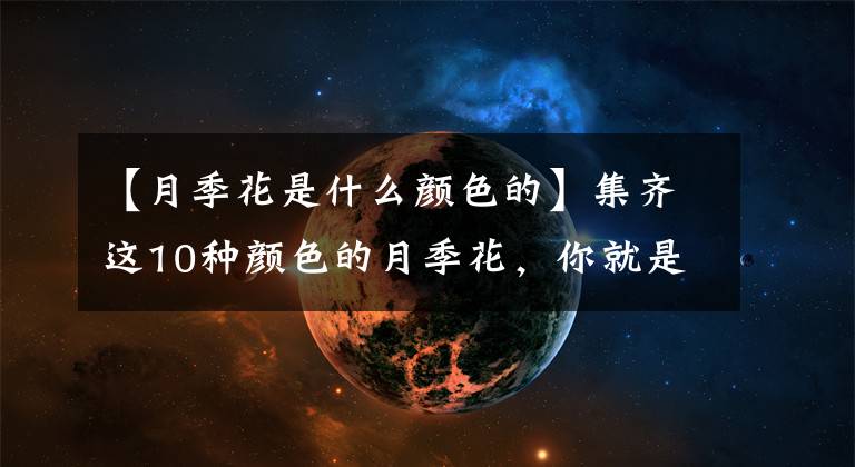【月季花是什么颜色的】集齐这10种颜色的月季花，你就是花界大神，真的太好看了