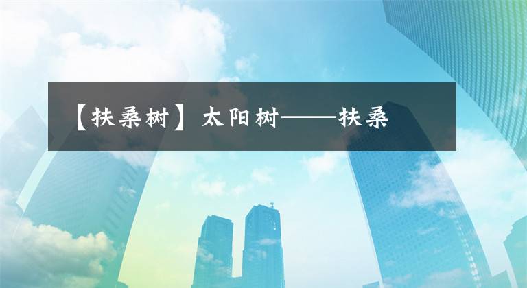 【扶桑树】太阳树——扶桑