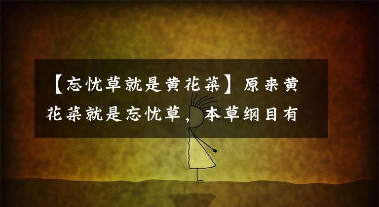 【忘忧草就是黄花菜】原来黄花菜就是忘忧草,本草纲目有记载,宁夏特产有营养