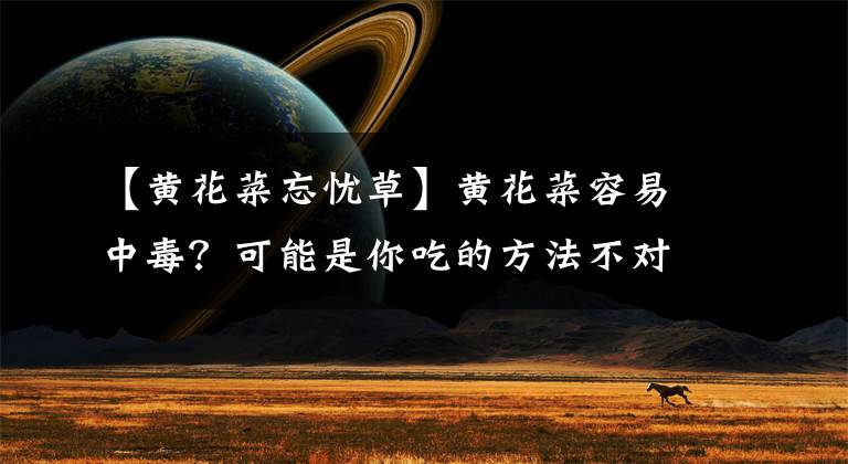 【黄花菜忘忧草】黄花菜容易中毒?可能是你吃的方法不对